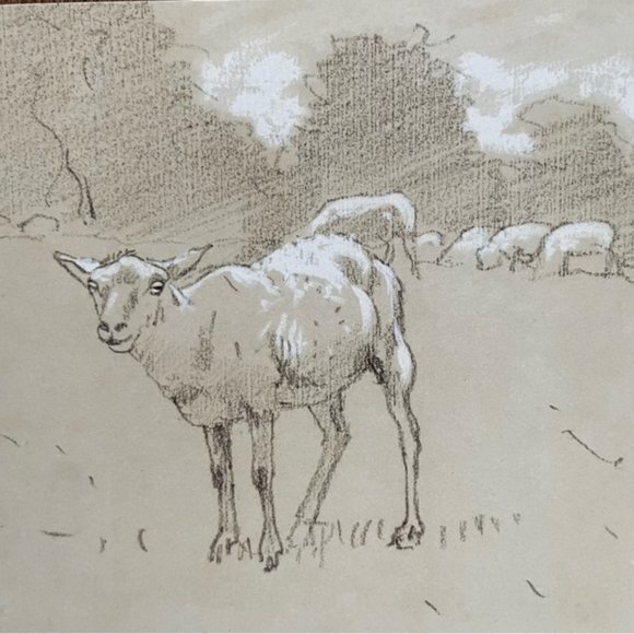 NWT 8x10" Sheep Grazing in a Field Print - Picture 3 of 3